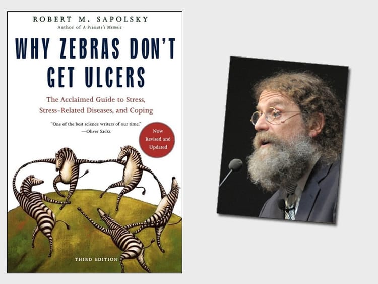 Docu Series - The Biology of Stress - "Why Zebras don't get Ulcers" ~ Sapolsky, and the UK Whitehall Study