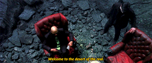 Welcome to 2025 - the Desert of the Real!