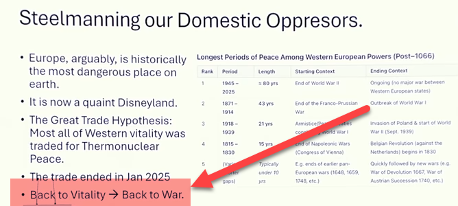 DOMESTIC HYBRID WAR