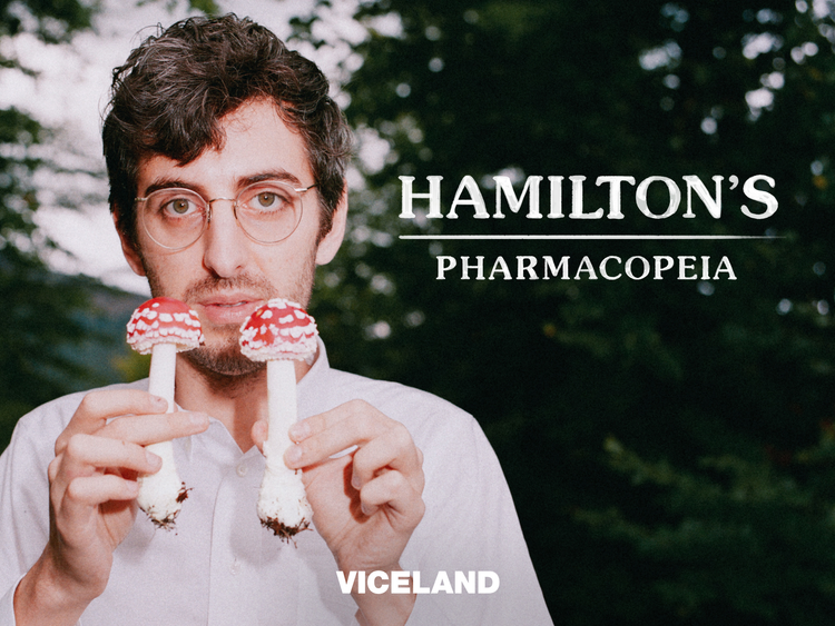 PAYING THE PRICE FOR A FREE CHEMISTRY EDUCATION - Meet a Real life Walter White.