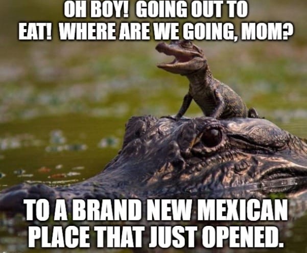 Pop-Up Gulags and Swamp Spectacles: Alligator Alcatraz as Capital’s Traveling Panopticon